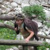 Romanje 2010_045